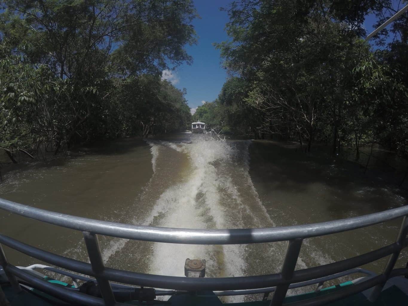 Pontos turístico de Manaus - Igarapé