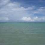 piscinas naturais da Praia do Francês em Alagoas