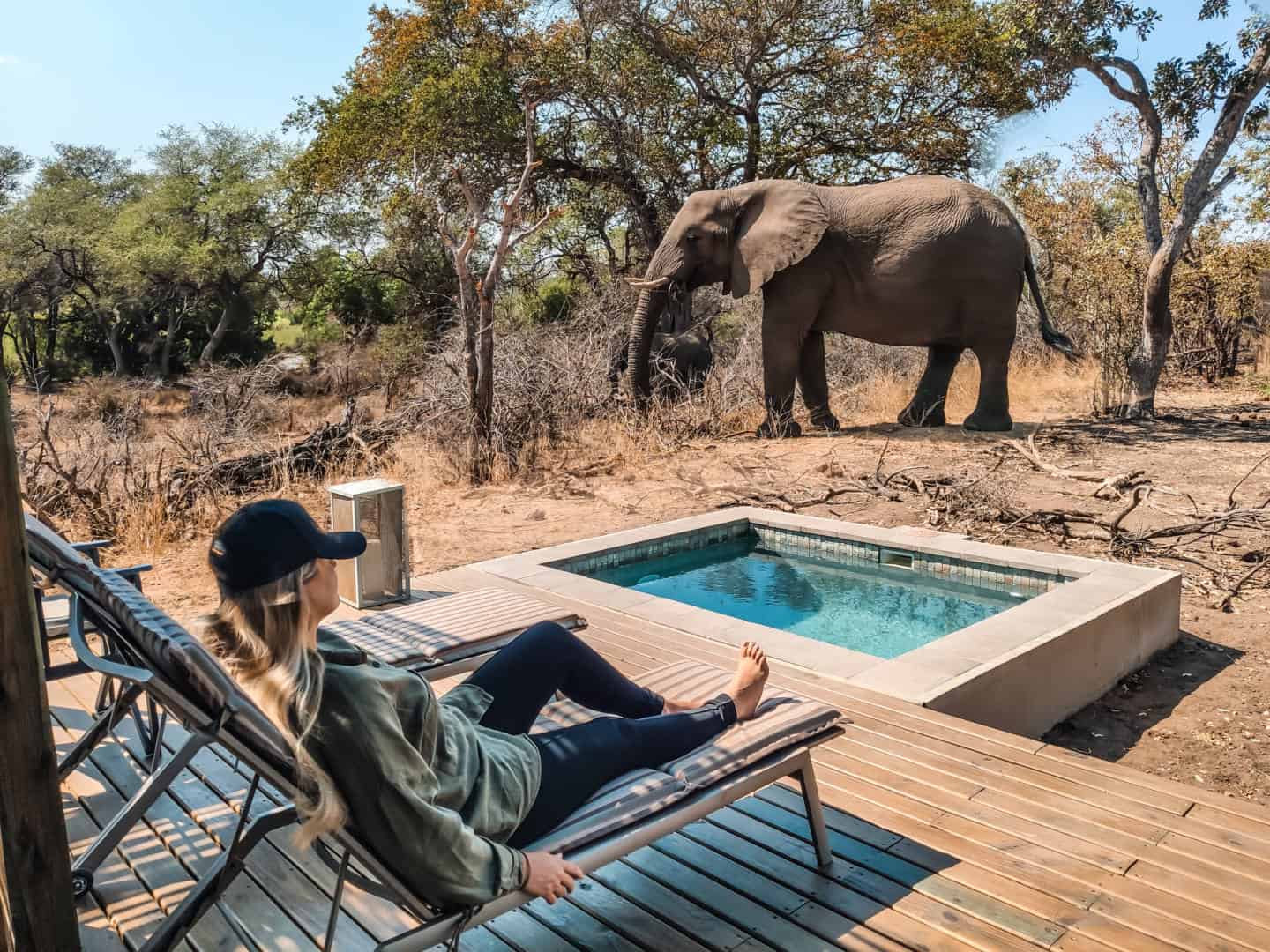 Lodges Timbavati África do Sul Kruger Park