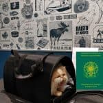 Passaporte para cachorros e gatos
