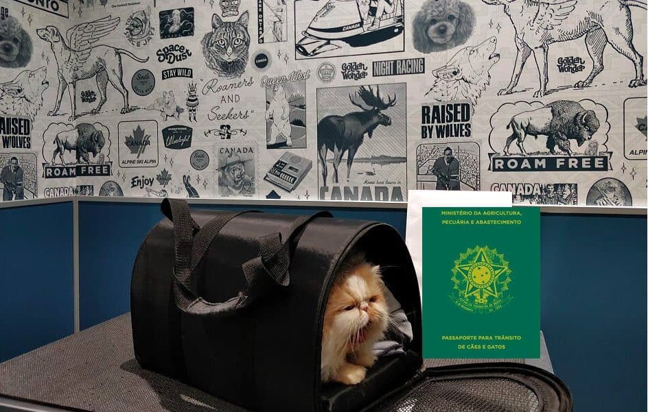 passaporte para cachorros e gatos