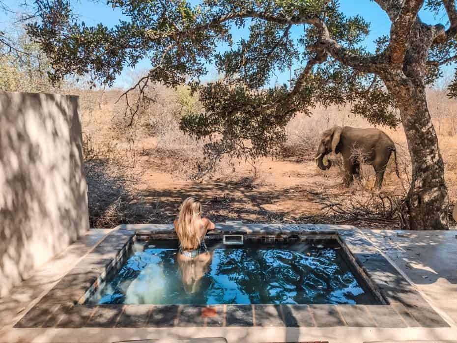 Onde ficar no Parque Nacional Kruger - Melhores hospedagens, lodges e como economizar
